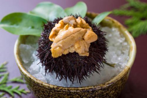 a prickly hedge with a piece of food on top at Hotel Tokinoza in Kihokucho
