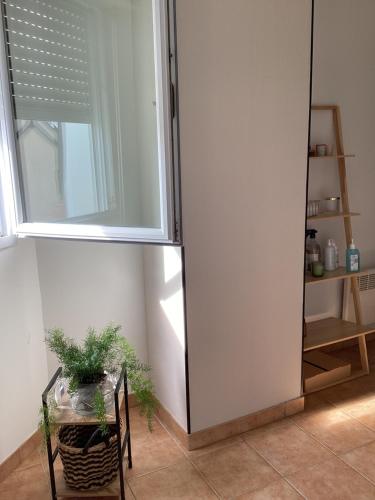 a room with a window and a chair with a plant at Chez Nathou in Janzé