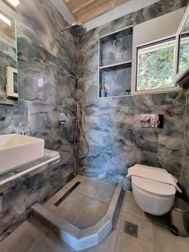 a bathroom with a toilet and a sink at Papa Nero Beach House in Agios Ioannis Pelio