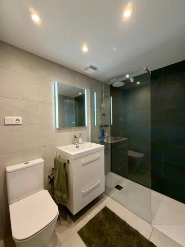 a bathroom with a toilet and a sink and a shower at Apartamento Tibi - centro de Gandia in Gandía