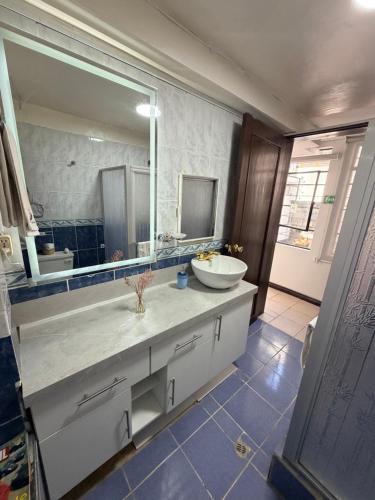 a bathroom with a sink and a large mirror at St. Gallen Haus in Quito