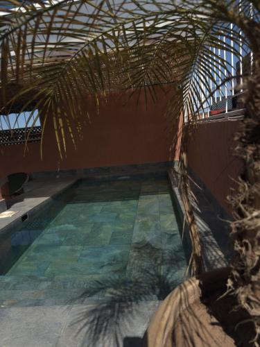 Басейн в Riad DIHYA & Rooftop Pool або поблизу