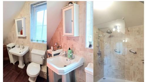a bathroom with a sink and a toilet and a shower at Riverside Lodge Self-Catering Apartment in Peterborough