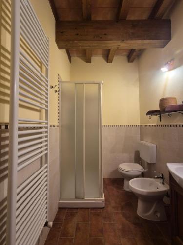 a bathroom with a shower and a toilet and a sink at CORTE STELLATA Il Grano Lodging in Bondeno