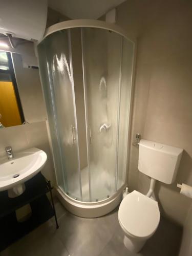 a bathroom with a shower and a toilet and a sink at Rogla Gaber Studio in Zreče