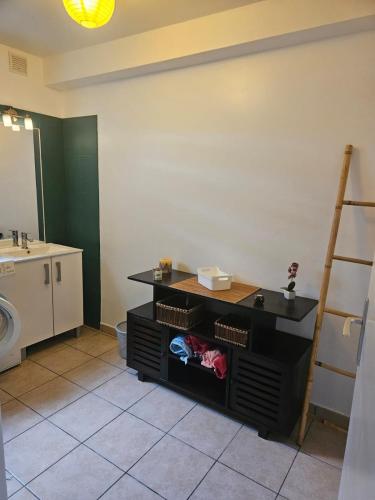 a bathroom with a sink and a toilet in a room at Le paille en queue in Saint-Pierre