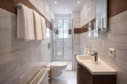 a bathroom with a toilet and a sink and a shower at Das Zollhaus Studio Newton nahe der Schweiz in Klettgau in Klettgau