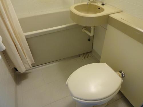 Hotel South Island في جزيرة مياكو: حمام به مرحاض أبيض ومغسلة