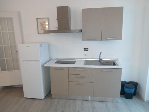a white kitchen with a sink and a refrigerator at B&B 503 di Alessio e Orsola in Caprie