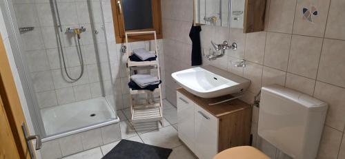 a small bathroom with a shower and a sink at Wohnung in Reichenbach im Kandertal in Reichenbach