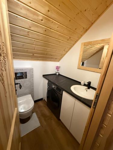 a bathroom with a toilet and a sink at Domek w górach in Załuczne