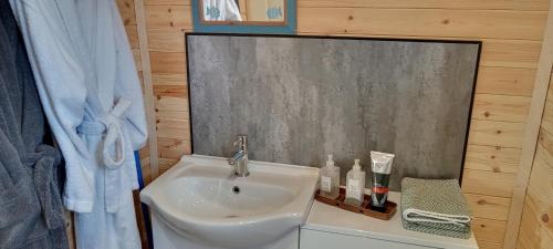 a bathroom with a sink and a mirror at Foxwell in Ballina
