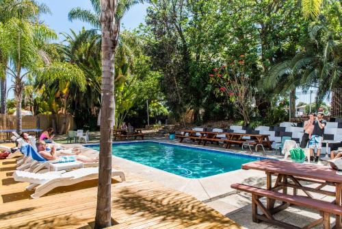 Bazén v ubytování Billabong Backpackers Resort nebo v jeho okolí