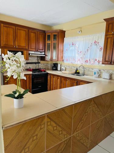a kitchen with wooden cabinets and a counter with flowers on it at Lyn Tropical Getaway in Port-of-Spain