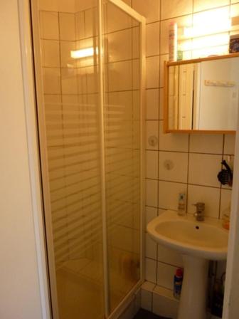a bathroom with a shower and a sink at Les jardins de Beauverger in Le Mans