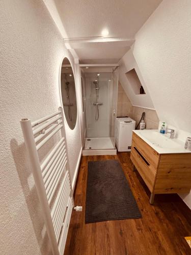 a bathroom with a sink and a shower in a room at Gîte Origin Gueberschwihr in Gueberschwihr