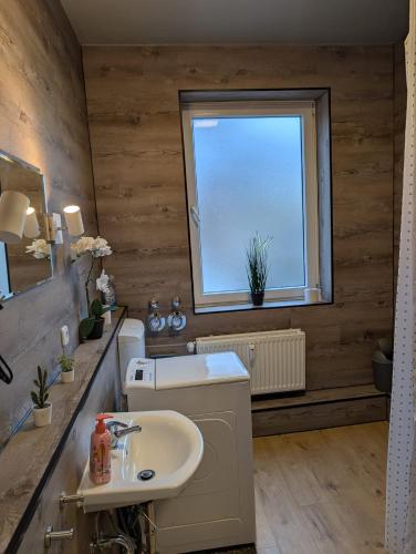 a bathroom with a sink and a window at Flensburg City 10 1 OG L in Flensburg