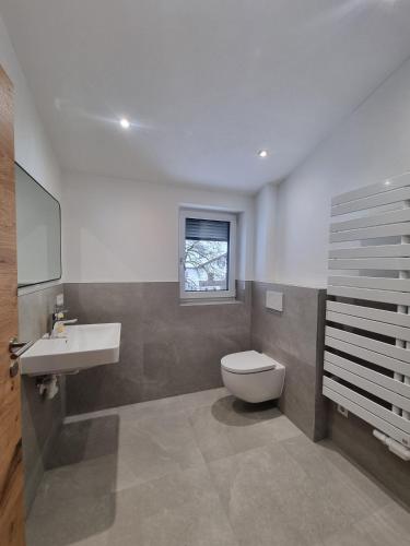 a bathroom with a toilet and a sink and a window at Ferienwohnung Kogler Zillertal in Fügenberg