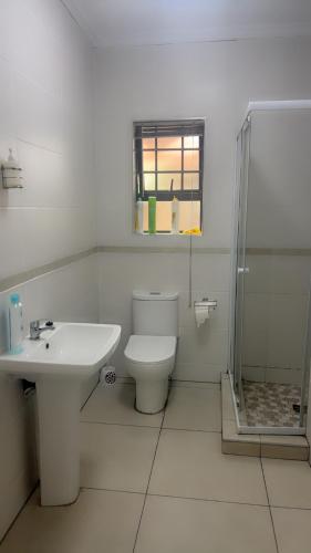 a bathroom with a toilet and a sink and a shower at Tesco Accommodation in Gqeberha