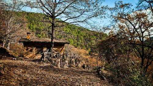 Cabaña Castañarejo