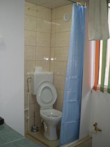 a bathroom with a toilet with a blue shower curtain at apartament MIHAI in Mangalia