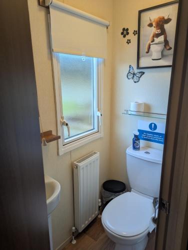 a small bathroom with a toilet and a window at Loch's Heaven 67 in Kirkcowan