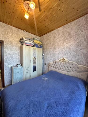 Llit o llits en una habitació de Mini Villa