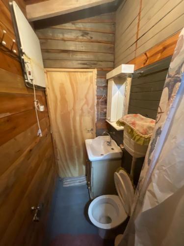 a small bathroom with a toilet and a sink at Las calandrias in Barrio Copacabana