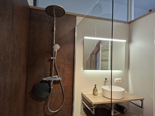 a bathroom with a shower and a sink at Aux Caillebotis in Waimes
