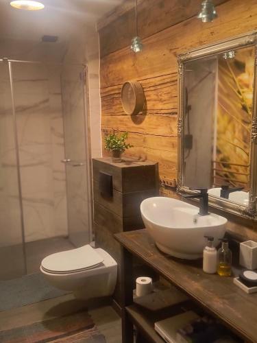 a bathroom with a sink and a toilet and a shower at Gospodarstwo agroturystyczne alpaki Pituchówka in Łoknica