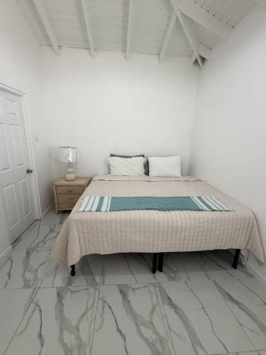 New Luxury Home CapEstate St Lucia Beach walk photo 2