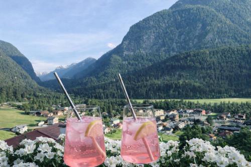 Fina - Garten Maisonette mit Alpenblick