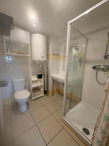 a bathroom with a toilet and a sink and a shower at Le Clos d'Aix studio 102 in Aix-en-Provence