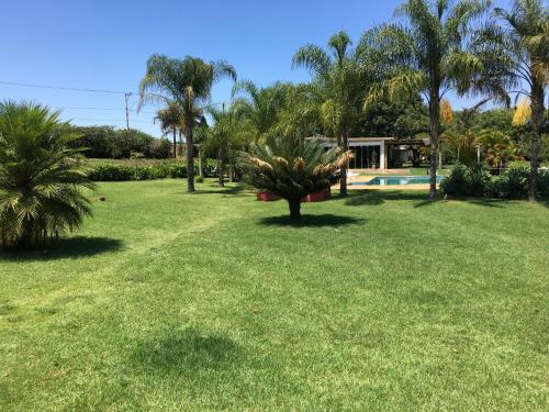 a green yard with palm trees and a pool at Parque Hotel Holambra in Holambra