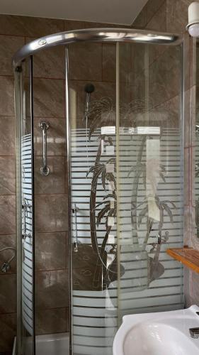 a shower with a glass door with a spider on the wall at Sokol in Ogulin