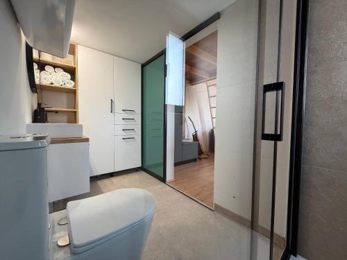 a bathroom with a white toilet and a mirror at Dushka Mountain Cabin in Belec