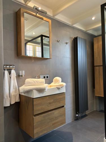 a bathroom with a sink and a mirror at B&B de Trochset in Balk