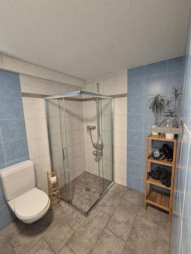 Kupatilo u objektu Ferienwohnung Suter