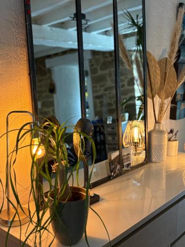 a plant sitting on a counter in front of a mirror at Chez Audrey & Bastien in Dinan