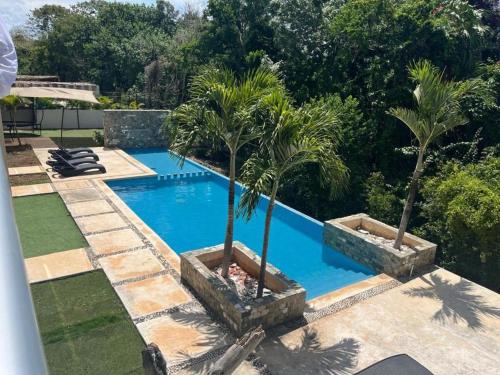 a swimming pool with two palm trees in a yard at Estudio en Puerto Aventuras, Condominio con Alberca # 202 in Puerto Aventuras