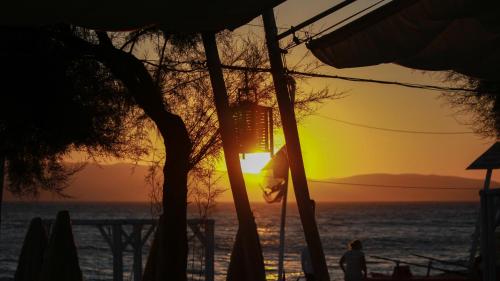 a sunset on the beach with a tree at Santana Beach in Agia Anna Naxos
