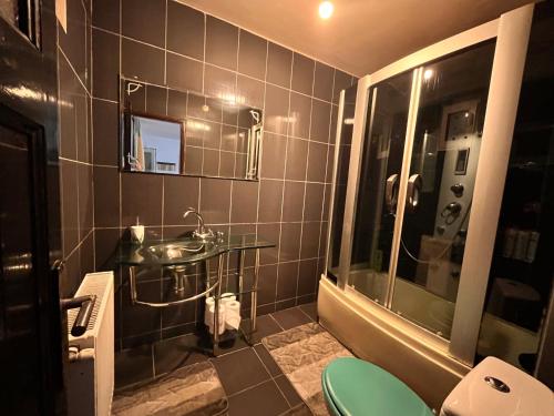 a bathroom with a sink and a toilet and a mirror at Casa Boitor in Jidvei