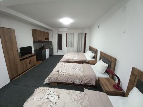 a room with three beds and a flat screen tv at Ambient Apartments in Struga