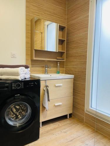 a bathroom with a washing machine and a sink at Les oiseaux de la Slack in Ambleteuse