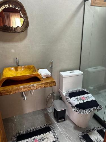 a bathroom with a sink and a toilet and a mirror at Chales Vista da Mata 01 in Santa Teresa