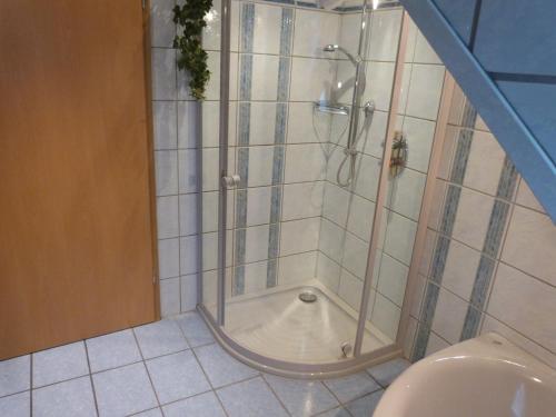 a bathroom with a shower and a toilet at Winzergasthof zum Kellerstübchen in Mehring