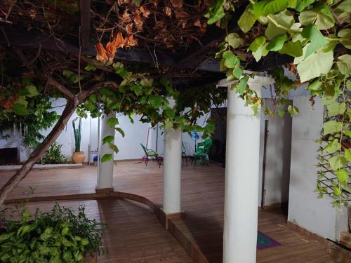 Jardí fora de Hostel Chaton