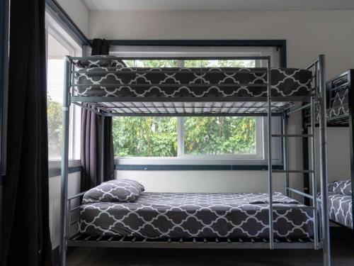 a bunk bed in a room with a window at ALOH Seaside Women's Hostel in Honolulu