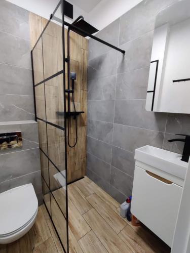 a bathroom with a shower with a toilet and a sink at Apartament Centrum in Płock