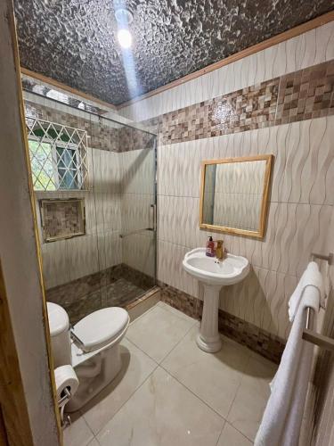 a bathroom with a toilet and a sink at Coke Guest House in Mandeville